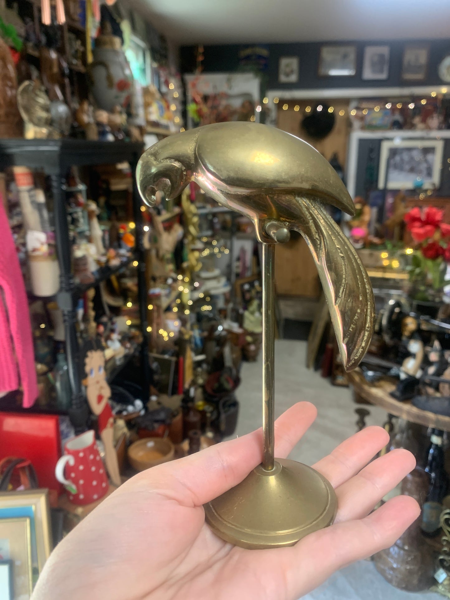 Brass Parrot