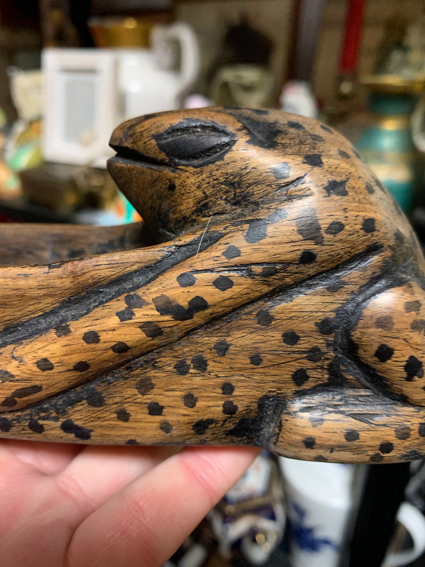 Wooden Frog