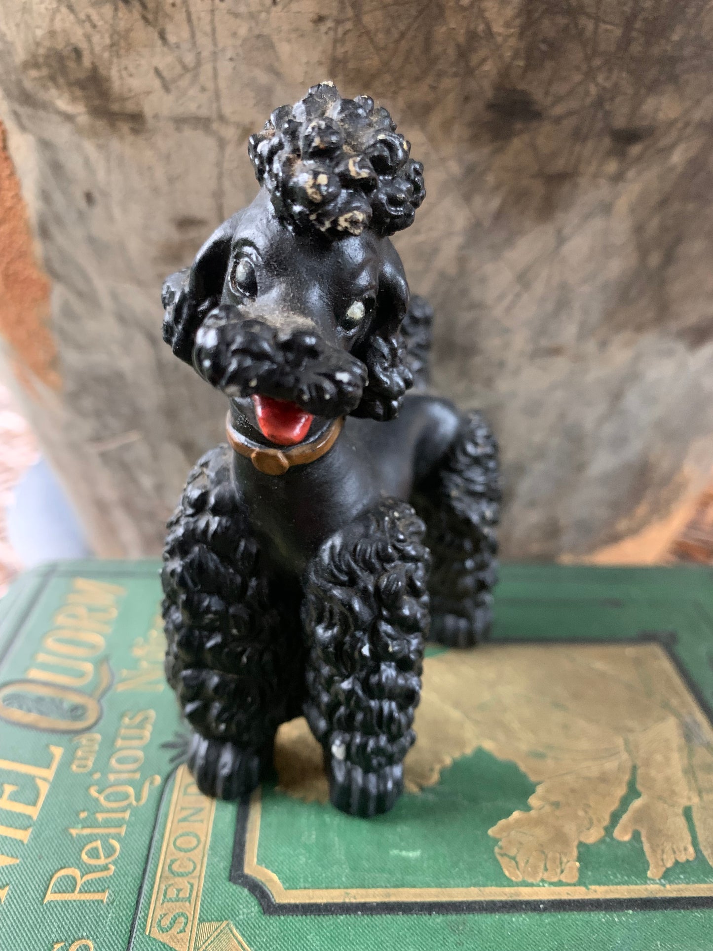 Vintage black poodle dog