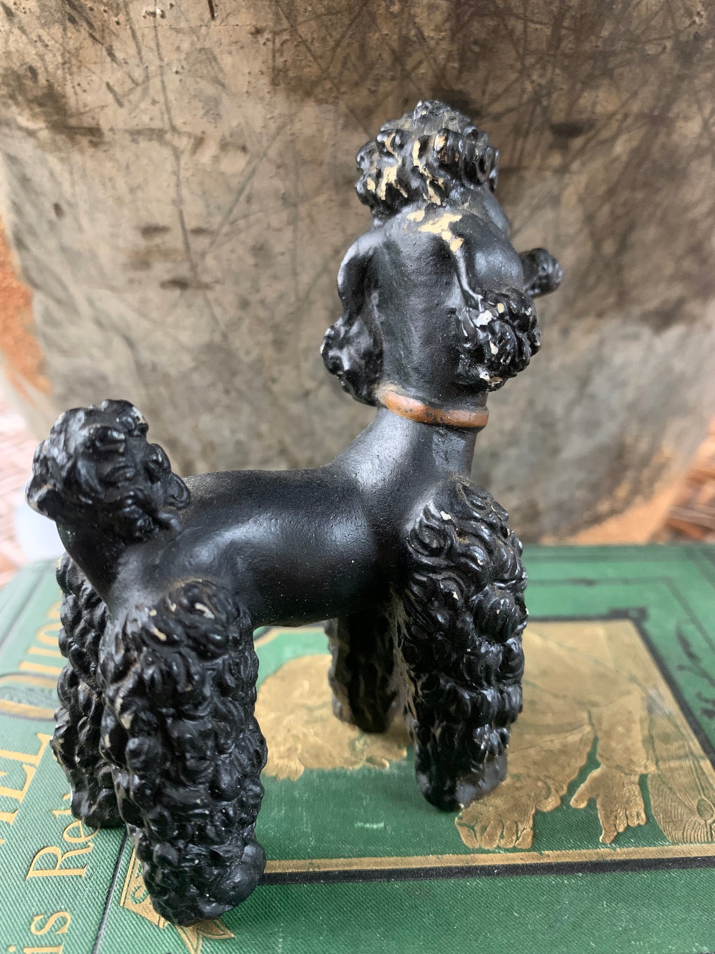 Vintage black poodle dog