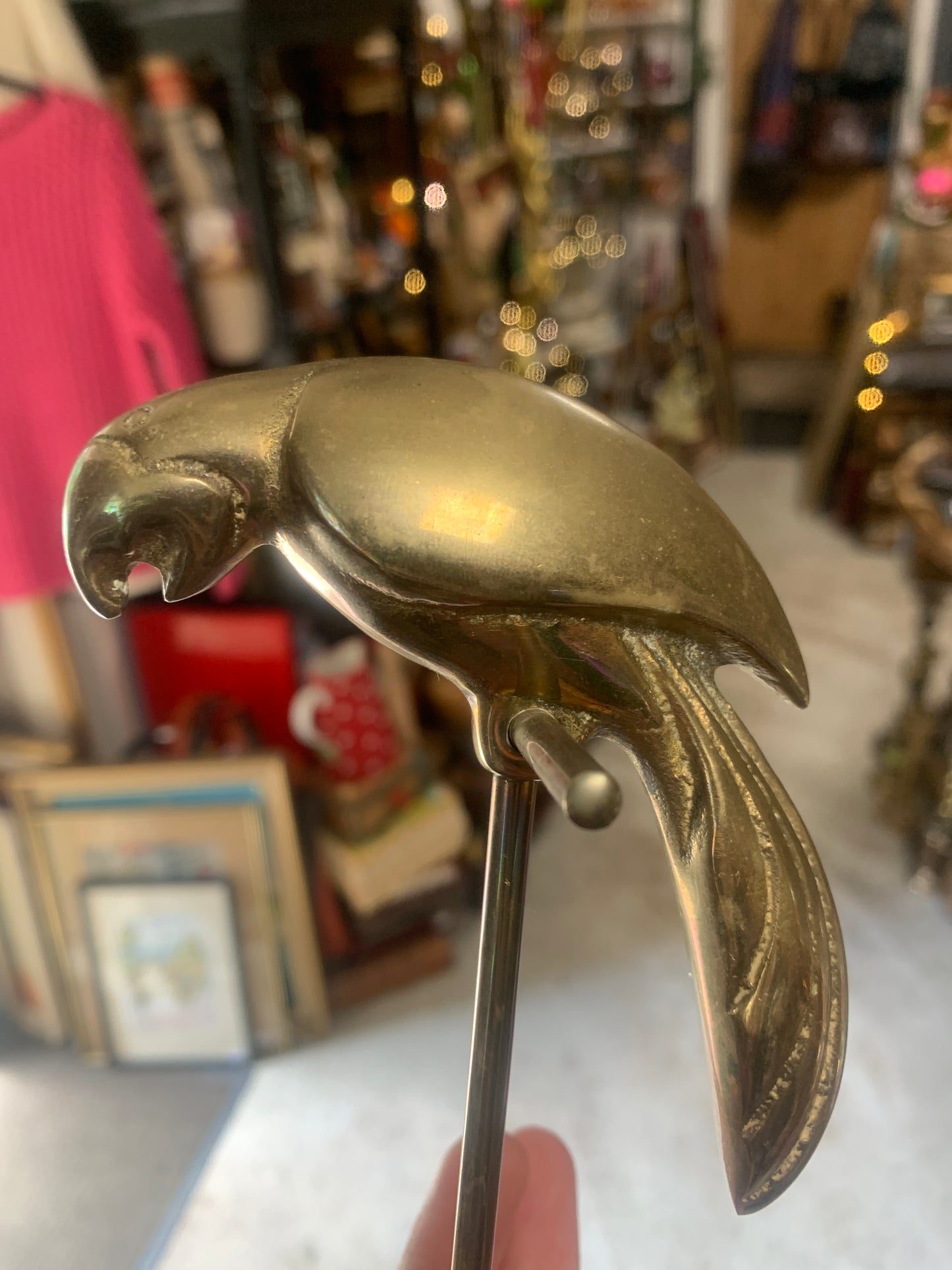 Brass Parrot