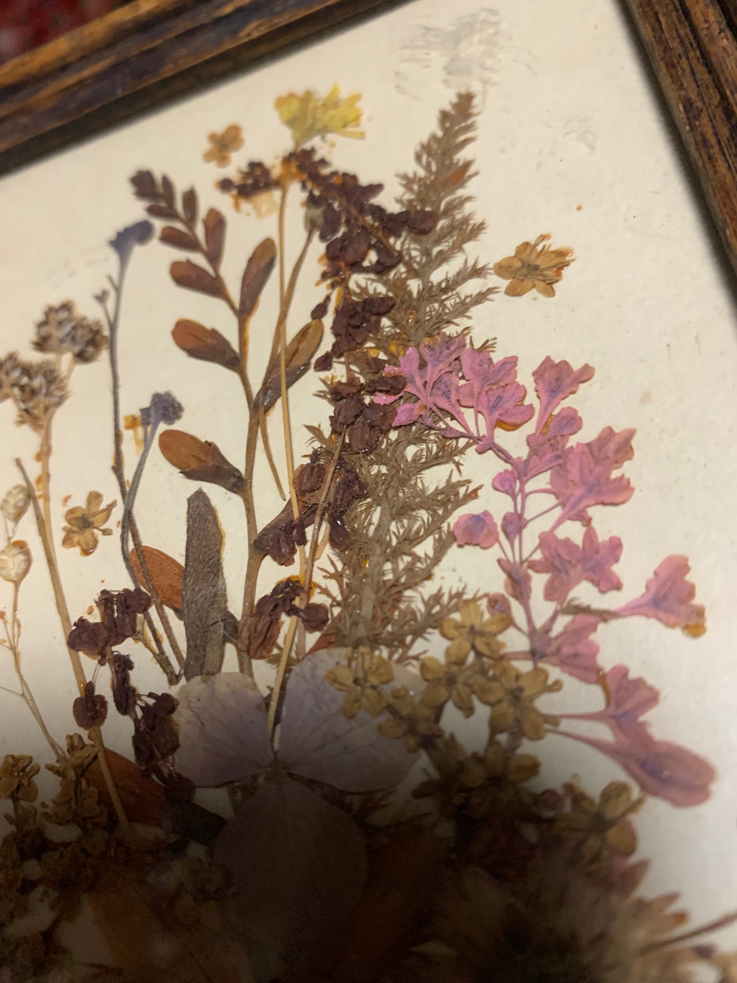 Antique floral picture