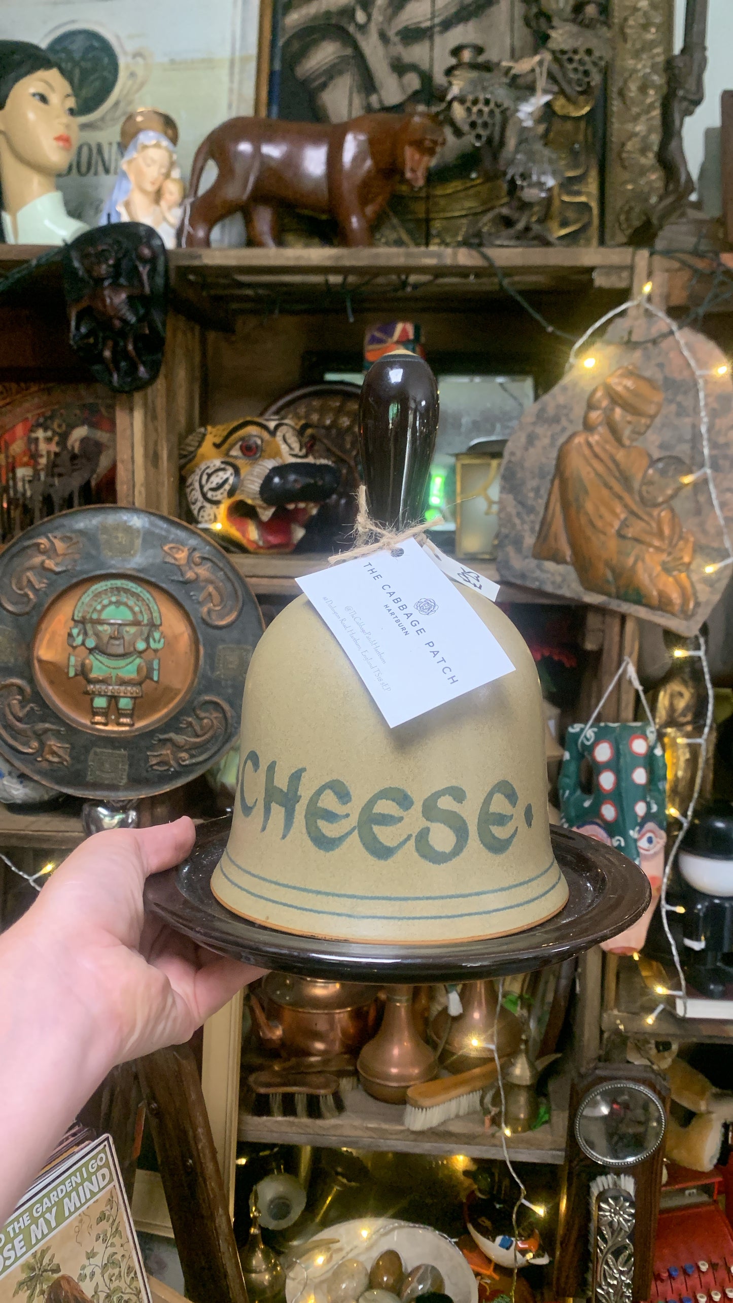 Cheese Dome