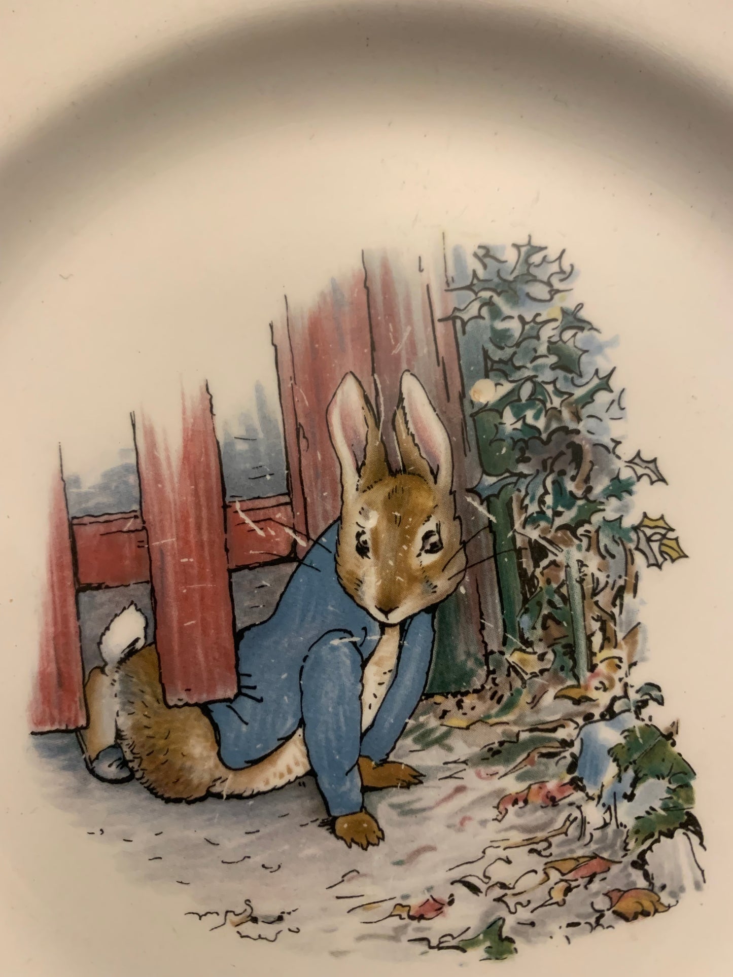 Wedgewood Peter rabbit plate