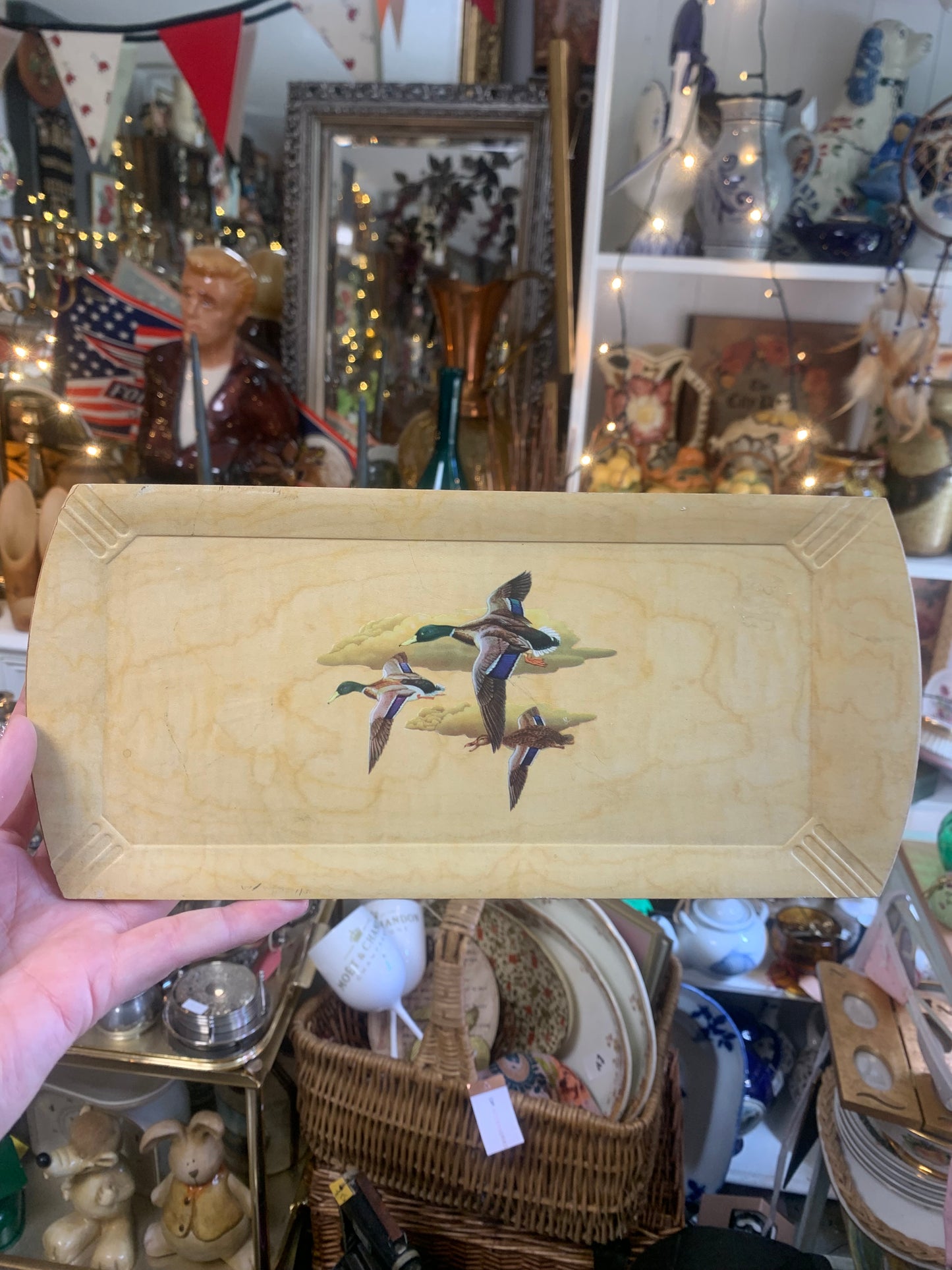 Small Duck Tray