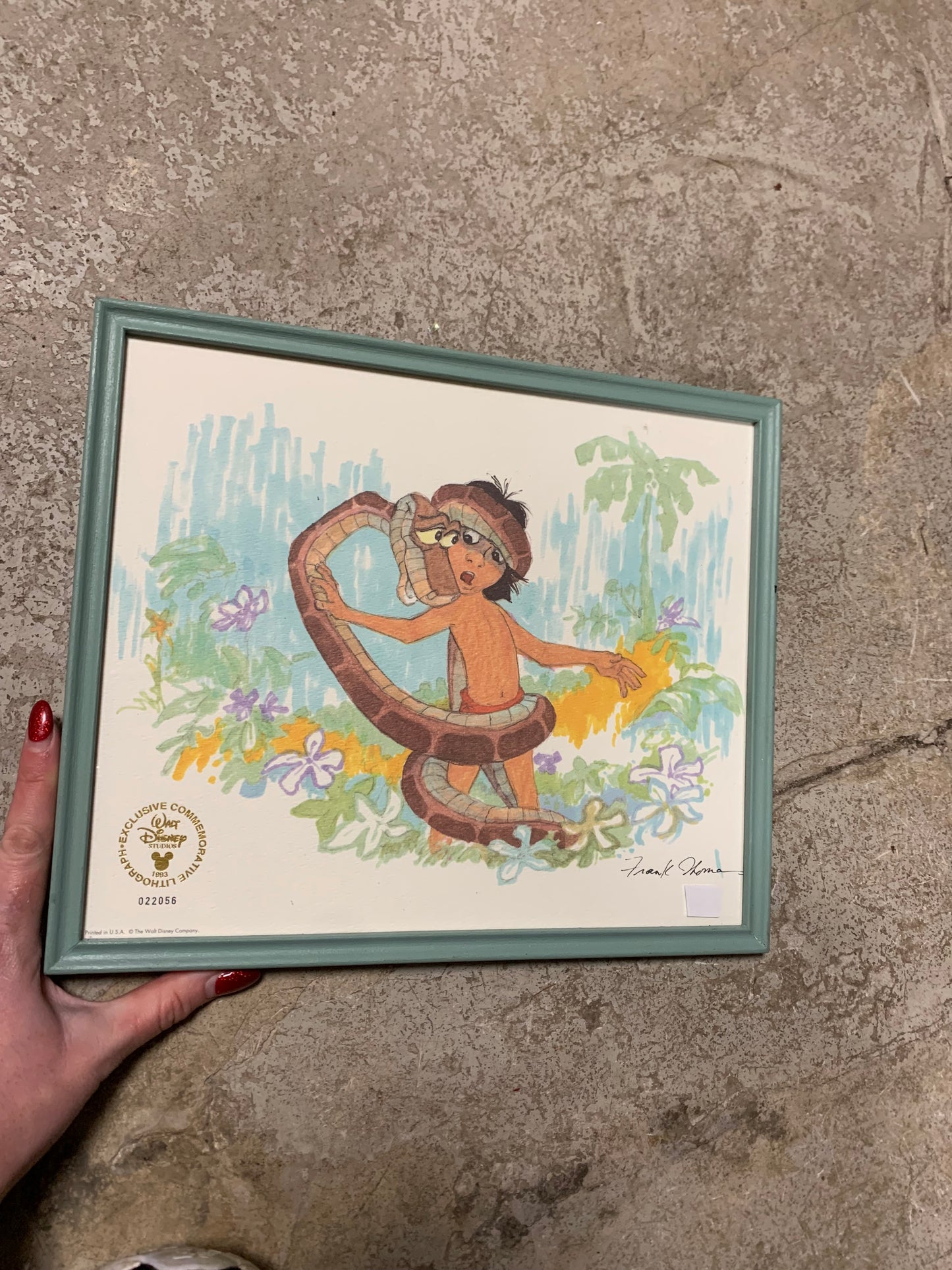 Disney Jungle Book picture