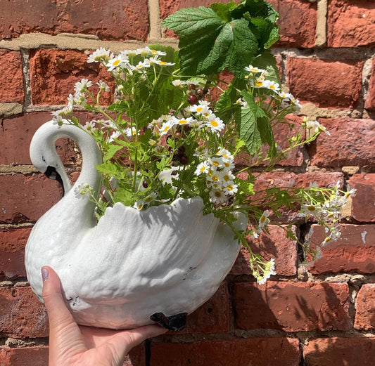 Stunning Swan Vase / Planter